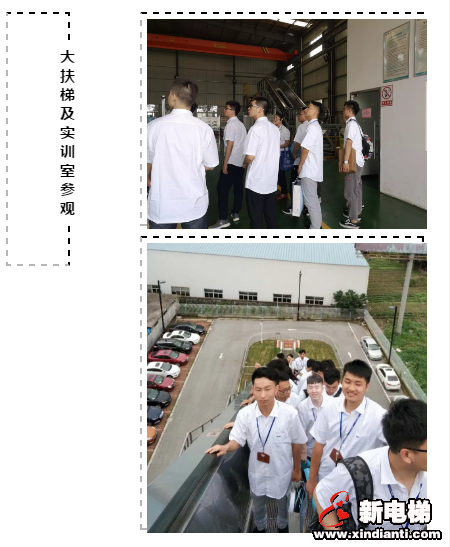 梦想蝶变，未来起航，2019年新大学生起航入职培训顺利进行！(图5)