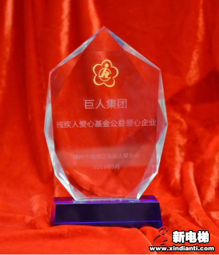 巨人集团向南浔区残疾人爱心基金捐款(图6)