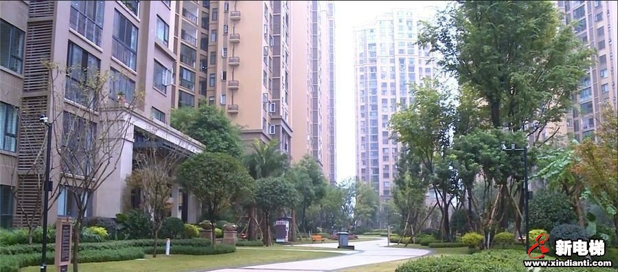 新电梯早新闻 11月13日 星期三 农历十月十三(图4)