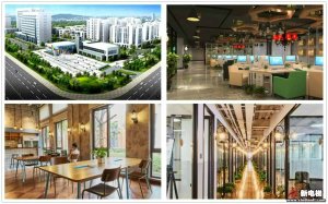 新电梯早新闻 11月15日 星期五 农历十月十九