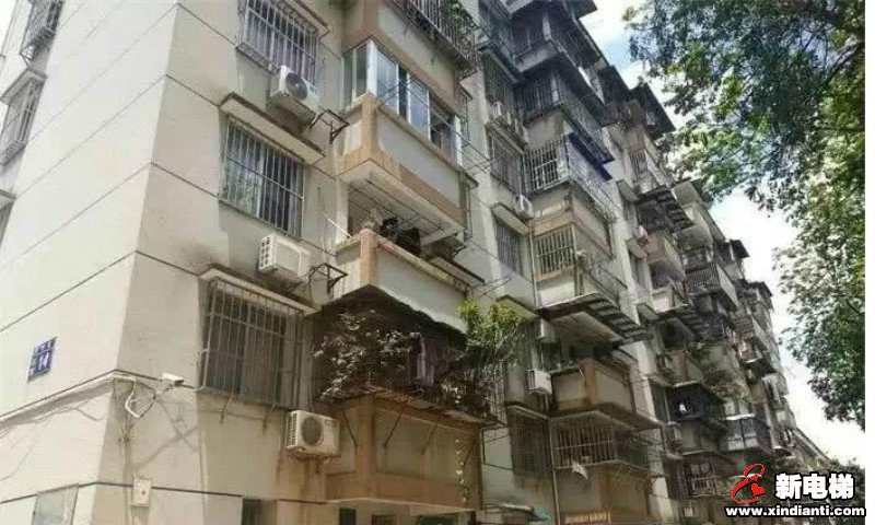 新电梯早新闻 11月18日 星期一 农历十月二十二(图5)