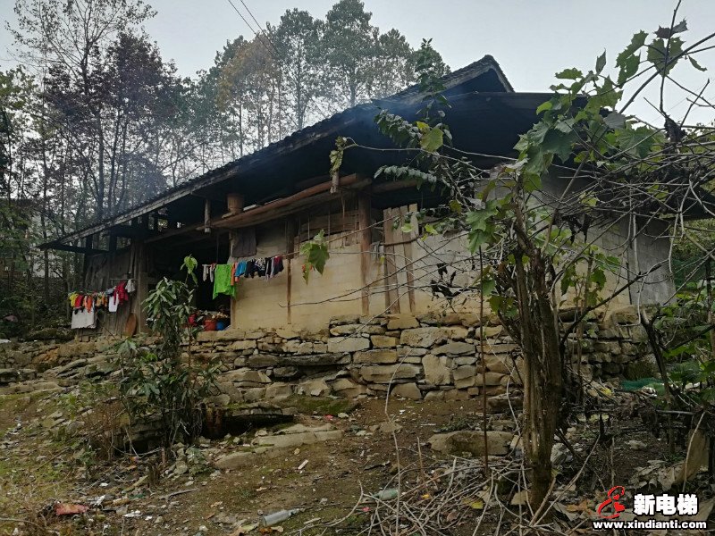 苏州市电梯业商会赴泉塘村开展扶贫调研和结对帮扶考察工作(图6)