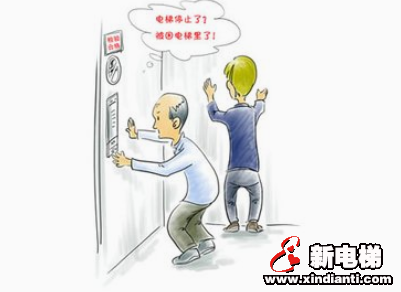 新电梯早新闻 12月12日星期四农历冬月十七(图1)