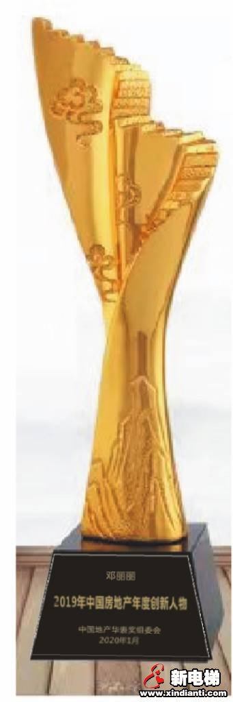 喜报！新电梯网总裁邓丽丽喜获2019年中国房地产年度创新人物奖(图2)