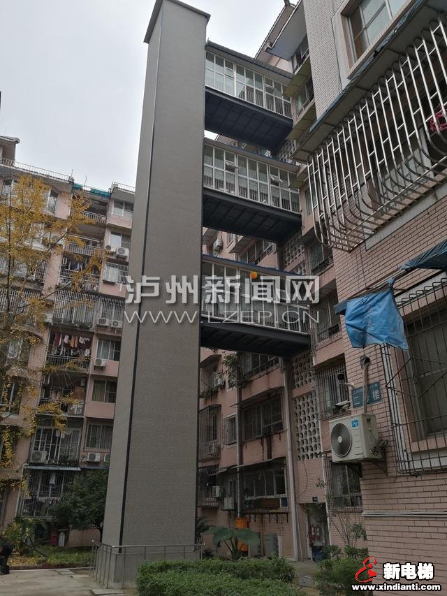 新电梯早新闻 1月6日 星期一 农历腊月十二(图8)