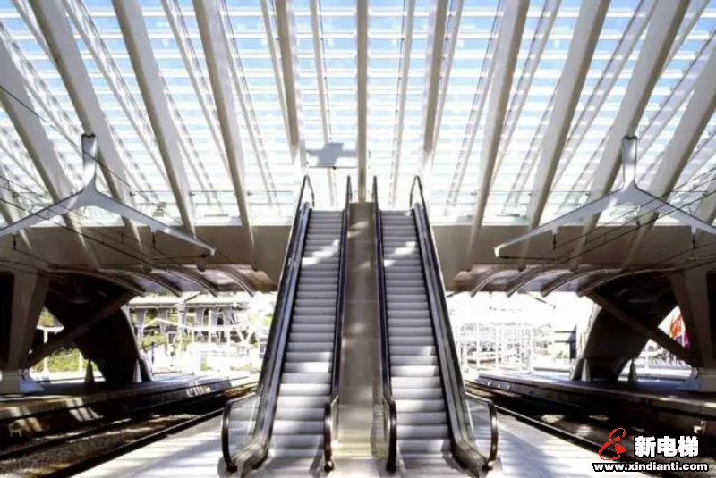 新电梯早新闻 1月7日 星期二 农历腊月十三(图7)