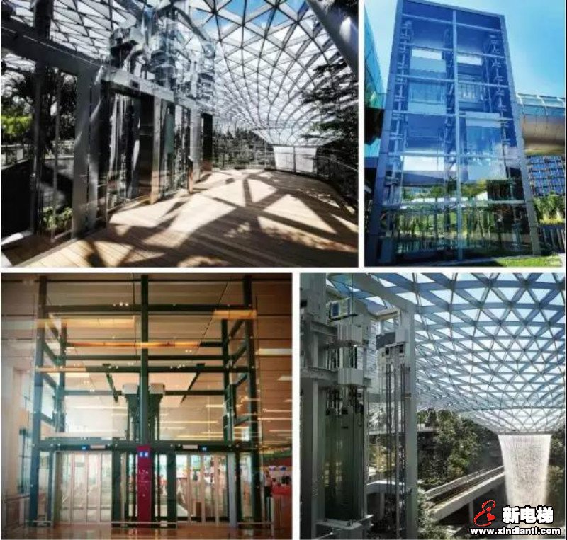2019威特全球大事记(图10) 2019威特全球大事记(图10)