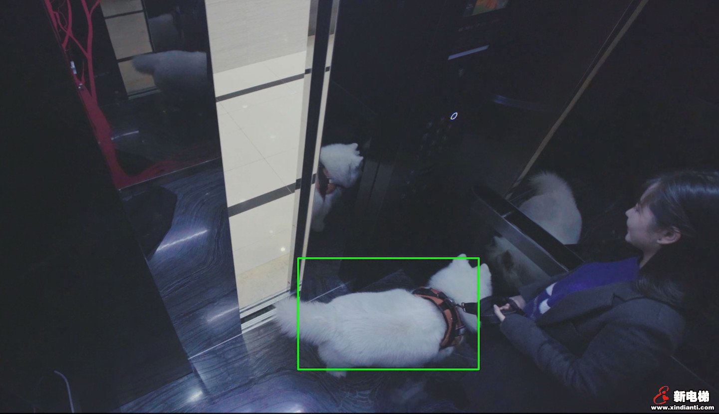 康力EOS无感呼梯 | “隔离”疫情，不隔爱(图10)