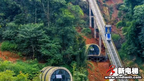 待疫情过后，阴霾散去，相约一笑新可好？(图4)