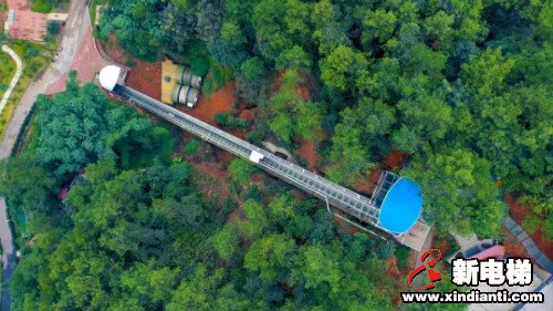 待疫情过后，阴霾散去，相约一笑新可好？(图6)