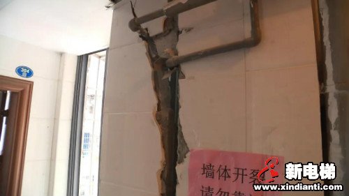 新电梯早新闻 3月19日 星期四 农历二月二十六(图6)