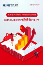 一张图看懂康力电梯2019年报