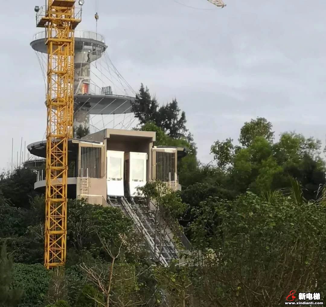 莱茵电梯带您打卡北纬22°黄金度假带(图6)