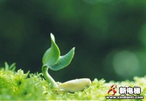 春土润万物，破土为新生 | 康力电梯2020年首期新人训