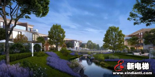 新电梯早新闻 6月2日 星期二 农历闰四月十一(图2)