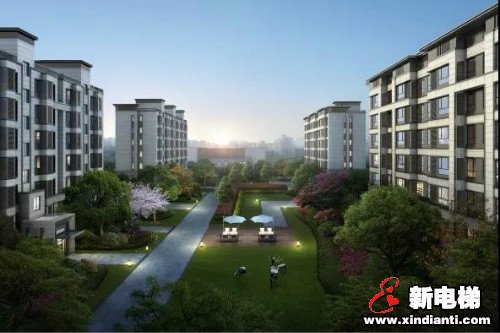 新电梯早新闻 6月3日 星期三 农历闰四月十二(图3)