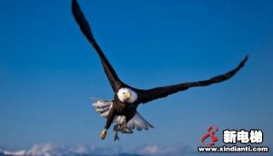 雄鹰展翅傲苍穹！康力学院“雄鹰”管理培训班正式拉开帷幕