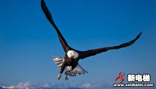 雄鹰展翅傲苍穹！康力学院“雄鹰”管理培训班正式拉开帷幕(图1)