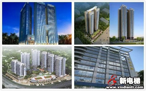 新电梯早新闻 6月10日 星期三 农历闰四月十九(图1)