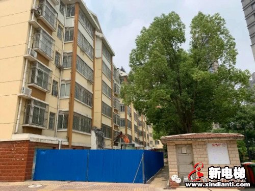 新电梯早新闻 6月11日 星期四 农历闰四月二十(图8)