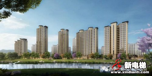 新电梯早新闻 7月7日 星期二 农历五月十七(图3)