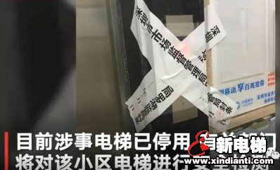 新电梯早新闻 7月31日，星期五，农历六月十一(图7)