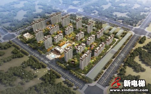 新电梯早新闻 8月3日，星期五，农历六月十四(图5)