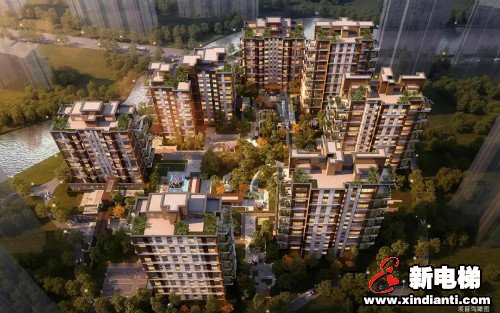 “莱茵电梯”品牌入驻住建部全国住宅示范项目(图1)