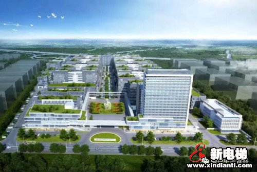 新电梯早新闻 8月11日 星期二 农历六月二十二(图3)