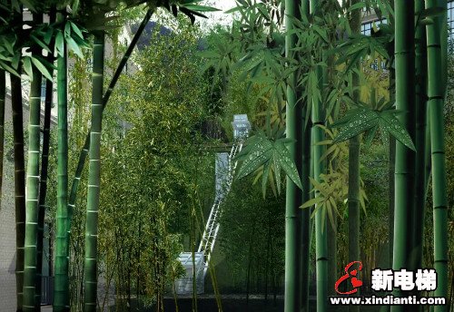 莱茵电梯助力御水温泉·竹溪谷酒店打造又一度假新去处(图3)