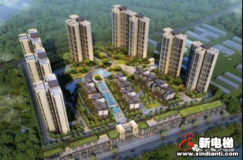 新电梯早新闻 9月11日，星期五，农历七月二十四(图7)