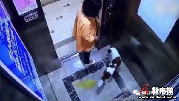 新电梯早新闻 9月22日，星期二，农历八月初六(图7)