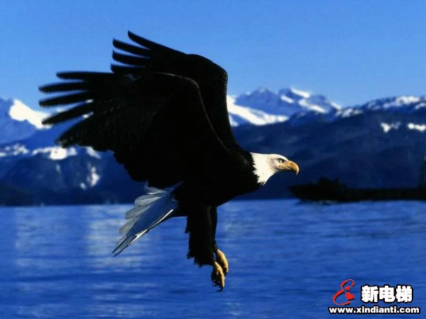 鹰击长空，展翅翱翔！康力学院2020年“雄鹰管理班”圆满结束(图9)