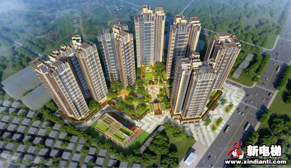 新电梯早新闻 10月26日，星期一，农历九月初十，欢迎收听(图5)