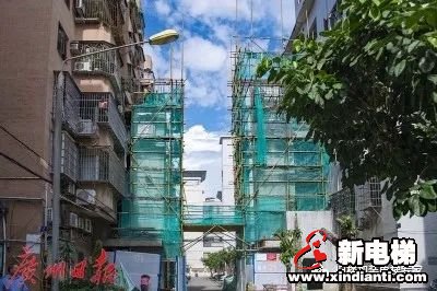“烦心事”变“贴心事”！广州市番禺区共批出加装电梯383宗(图1)