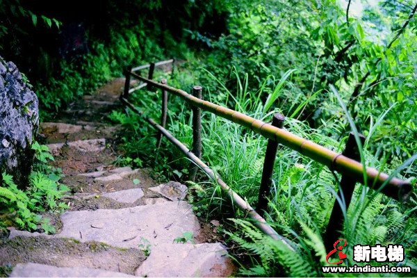 创“中国之最”！绝壁“世外桃源”的进出之梯(图2)