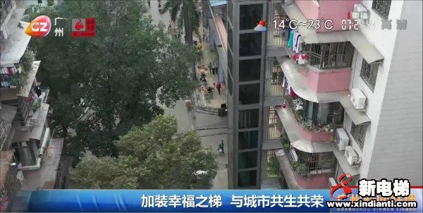 新电梯早新闻 12月11日，星期五，农历十月二十七(图5)