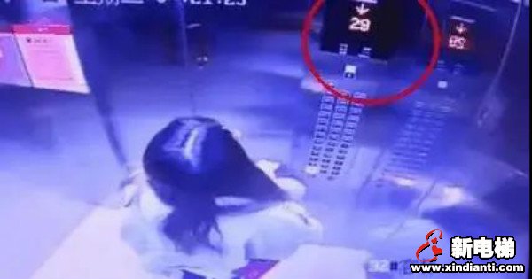 新电梯早新闻 12月25日，星期五，农历十一月十一(图7)