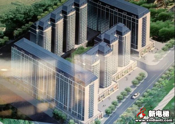 新电梯早新闻 1月5日，星期二，农历十一月二十二(图6)