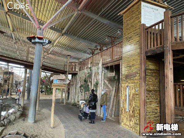 CIBES西柏思丨搭乘西柏思电梯 遇见可爱的它们——旅居大熊猫(图3)