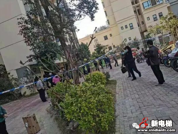 新电梯早新闻 1月26日，星期二，农历腊月十四(图7)