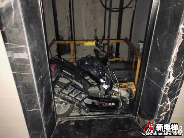 新电梯早新闻 2月1日，星期一，农历腊月二十(图7)