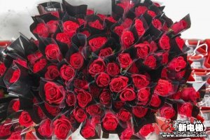 新电梯早新闻 3月3日，星期三，农历正月二十