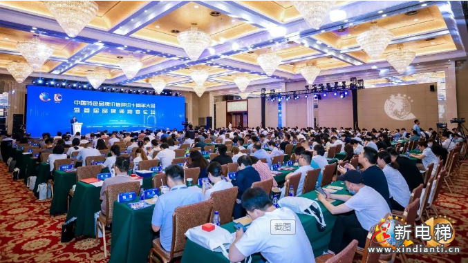 菱王电梯荣获“突出贡献品牌单位”荣誉，实力助推中国品牌建设(图3)