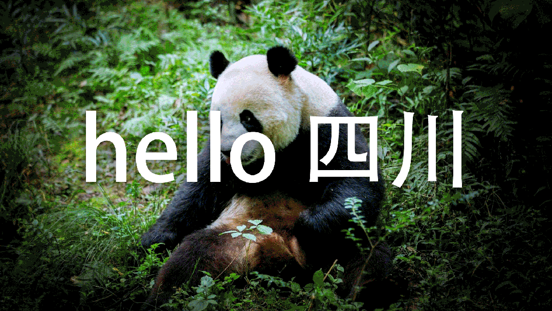 遇见5限可能丨森赫电梯服务中国移动打造智慧出行新体验(图6)