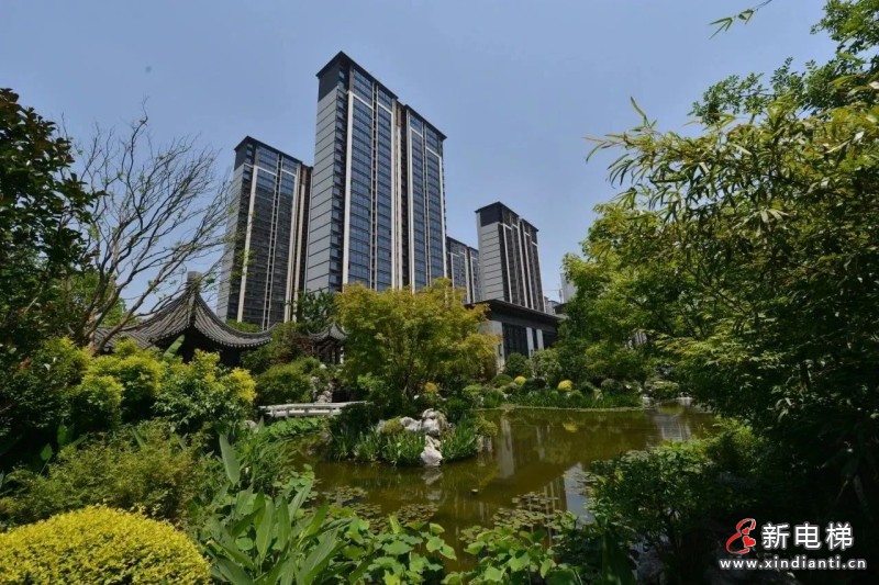 高效应急救援 守护万家安全 —— 巨龙电梯例行应急响应演练(图7)