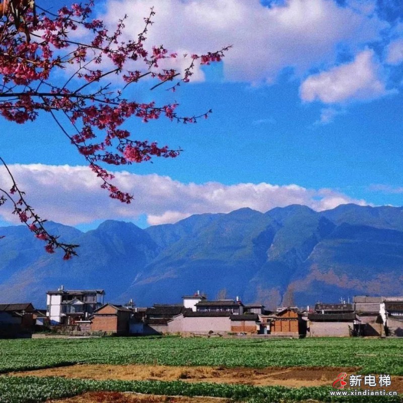 莱茵传奇新篇章 | 云南首台斜行电梯落地苍山