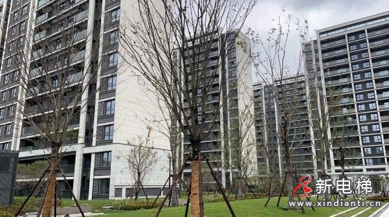 完美交付！67台康力电扶梯进驻上海临港主城核心(图4)