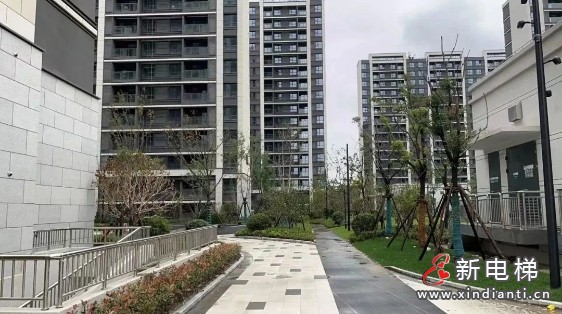 完美交付！67台康力电扶梯进驻上海临港主城核心(图2)