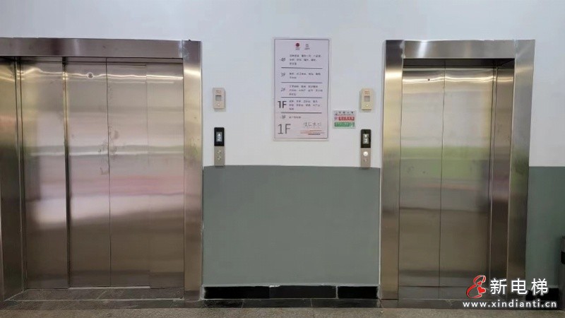 新电梯网